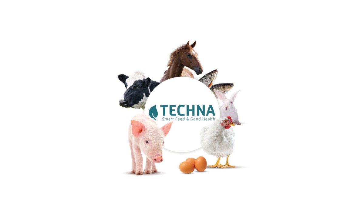 Logo Techna entouré d'animaux d'élevage