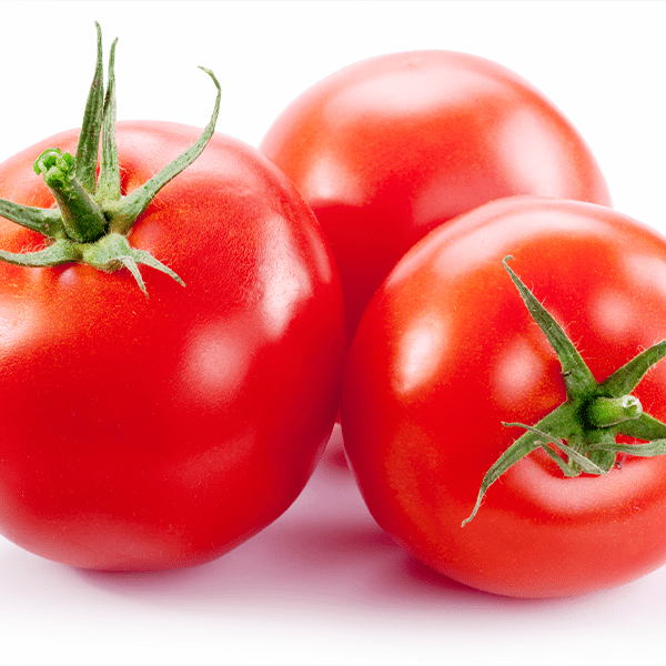 La culture des tomates